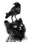 cat & crow Behance